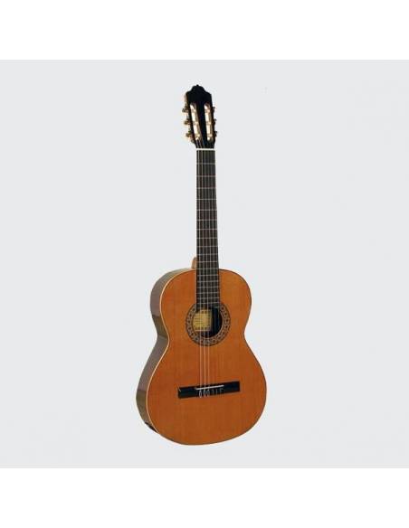 Guitares ( Instrument )