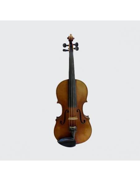 Violon ( Instrument )