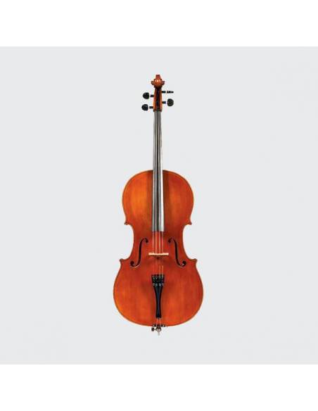 Violoncelle ( Instrument )