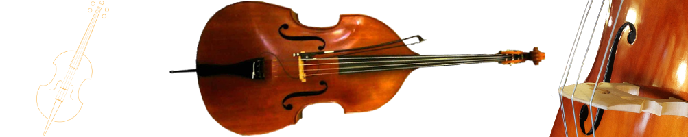 Archet de guitare/basse acoustique par Guitar Hu Sons de violoncelle, de  violon, de contrebasse et d'autres instruments à archet provenant d'une  guitare ou d'une basse. Cadeaux pour guitare -  France